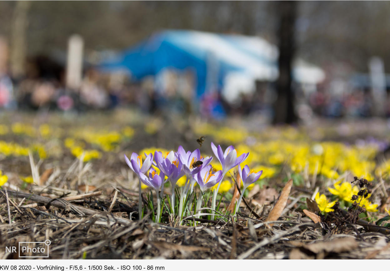 KW 08 2020 - Vorfrühling - F/5,6 - 1/500 Sek. - ISO 100 - 86 mm