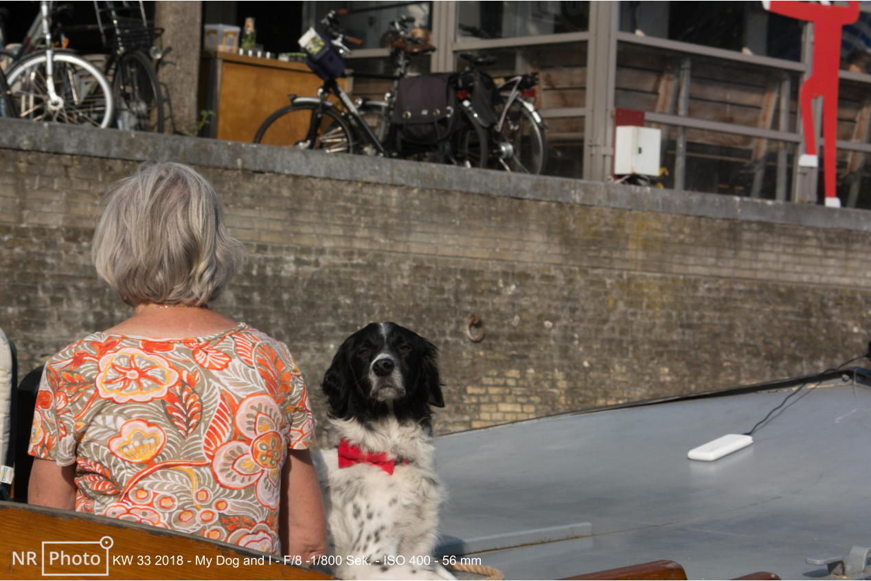 KW 33 2018 - My Dog and I - F/8 -1/800 Sek. - ISO 400 - 56 mm