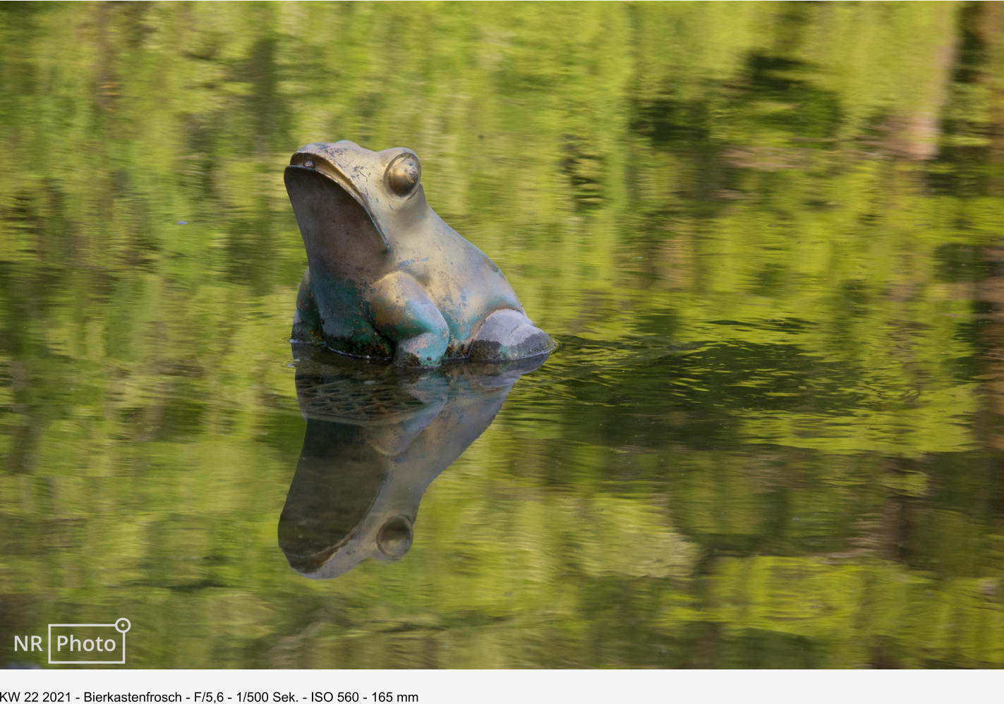KW 22 2021 - Bierkastenfrosch - F/5,6 - 1/500 Sek. - ISO 560 - 165 mm