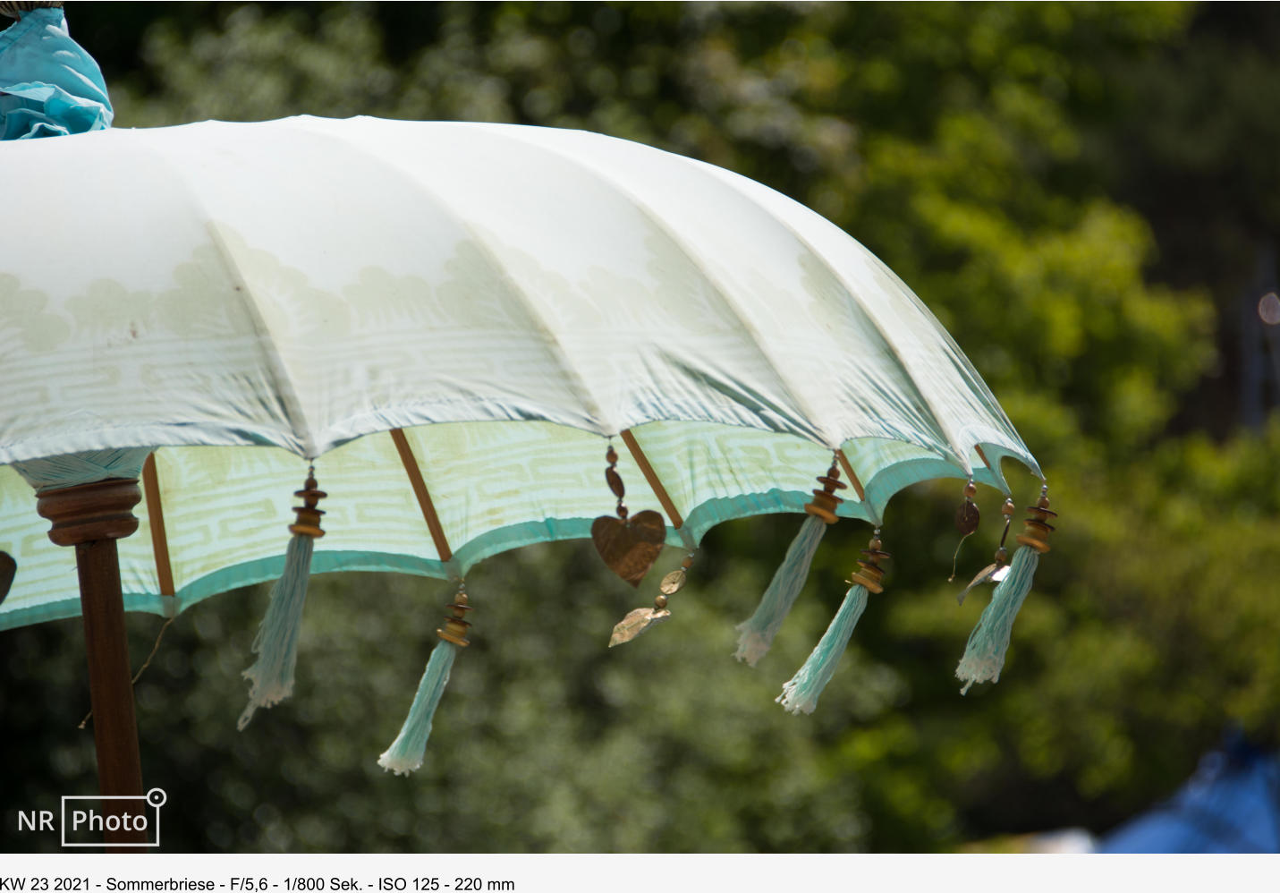 KW 23 2021 - Sommerbriese - F/5,6 - 1/800 Sek. - ISO 125 - 220 mm