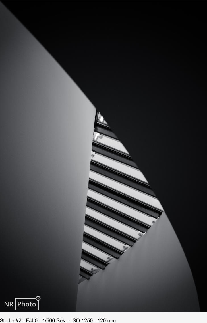 Studie #2 - F/4,0 - 1/500 Sek. - ISO 1250 - 120 mm