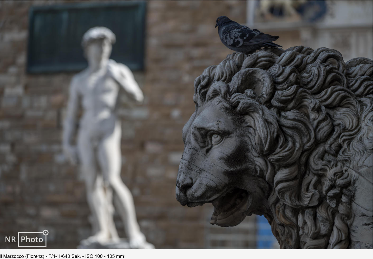 Il Marzocco (Florenz) - F/4- 1/640 Sek. - ISO 100 - 105 mm